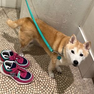 Meet your Posher, Marissa